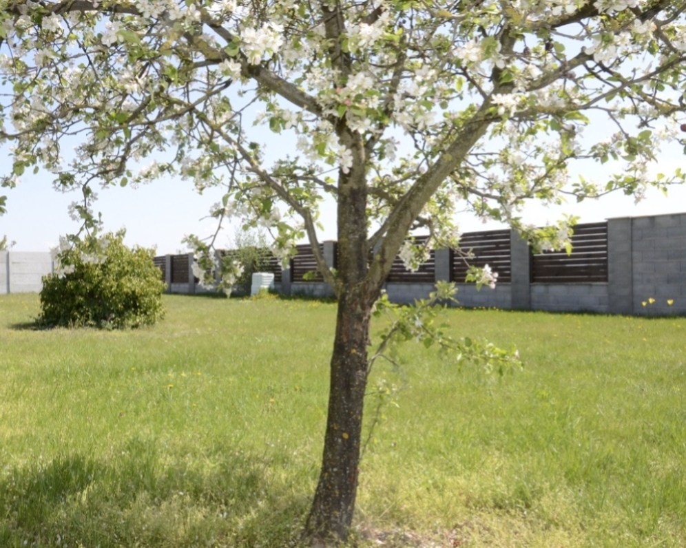 PREDANÝ- 600 m2 pozemok na konci ulice, Nové Košariská, Dunajská Lužná