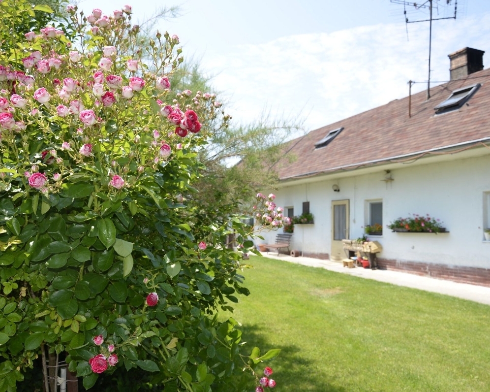 PREDANÝ 10 árový pozemok s vidieckym domom, Vojka nad Dunajom, okr. Dunajská Streda